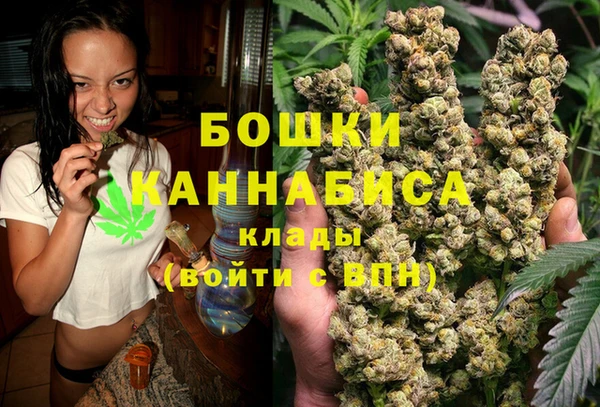 стафф Майский