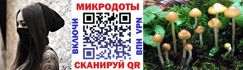 Галлюциногенные грибы мицелий  Купить где  Майский 